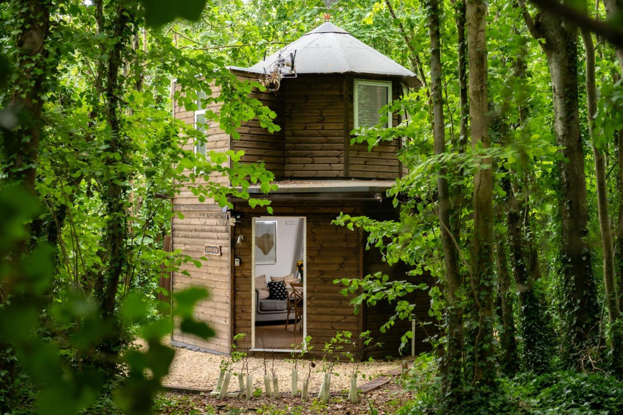 Honeycombe - Treehouse In The Heart Of Dorset Villa Blandford Forum Luaran gambar