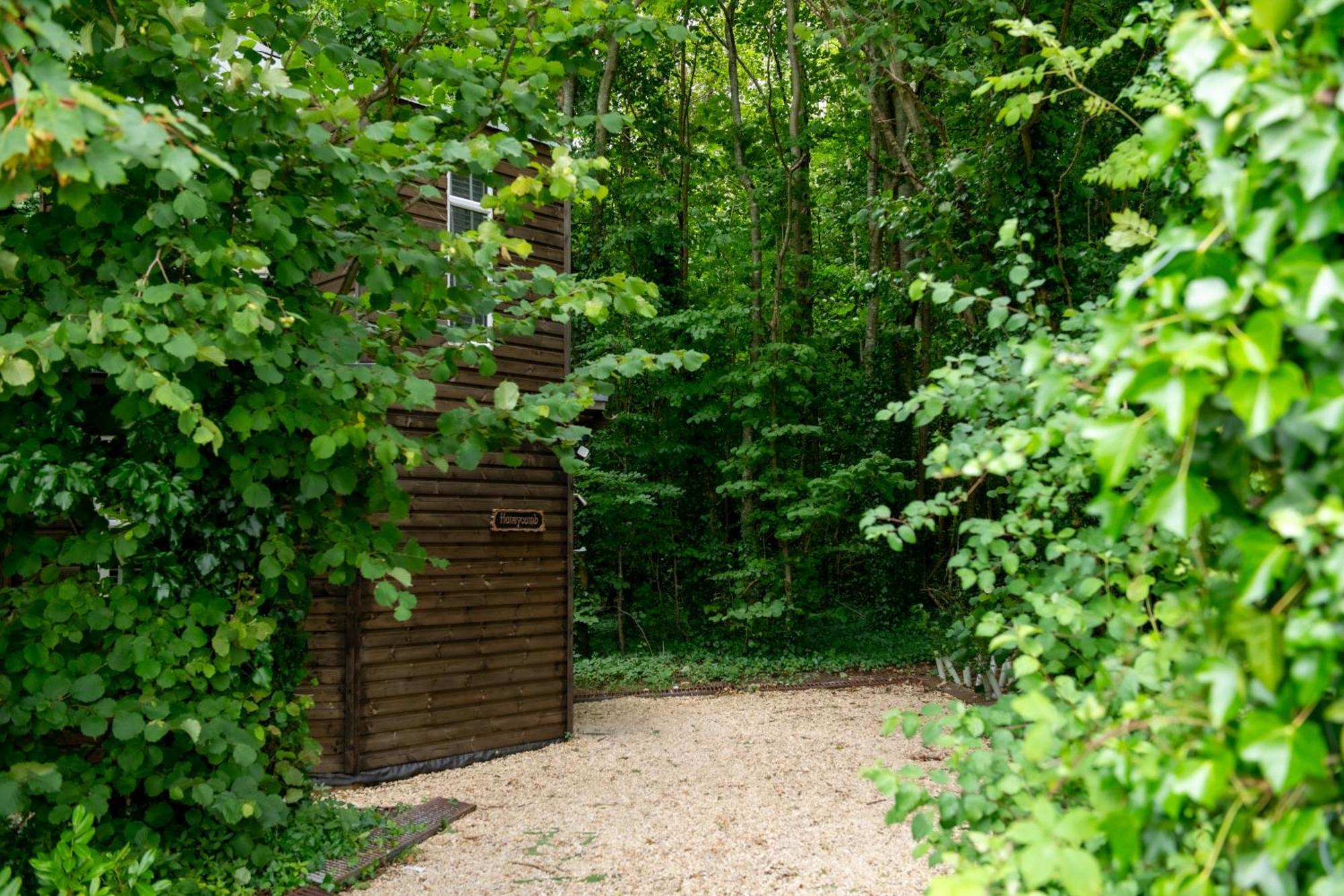 Honeycombe - Treehouse In The Heart Of Dorset Villa Blandford Forum Luaran gambar