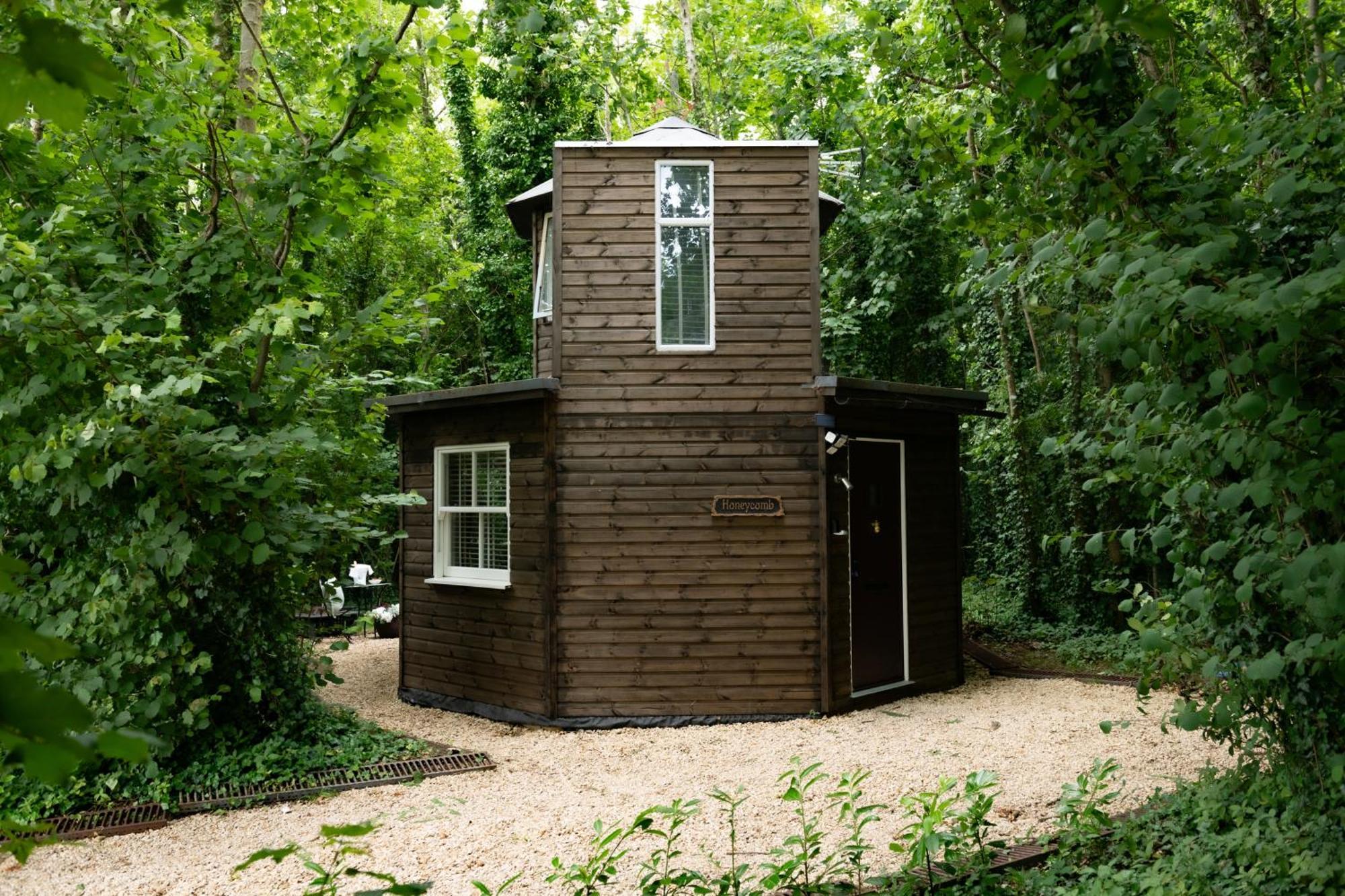 Honeycombe - Treehouse In The Heart Of Dorset Villa Blandford Forum Luaran gambar